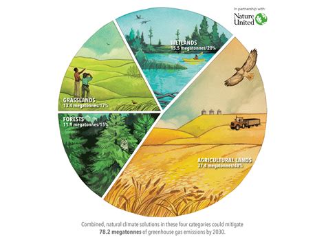 climate change charities canada|Canada supports climate action by not.